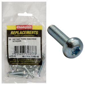 MACHINE SCREWS-PAN-TORX (TX)-M6 x 30mm-Z/P