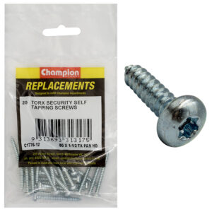 SELF TAPP-SCREWS-PAN-TORX (TX)-4.2 x 38mm-Z/P
