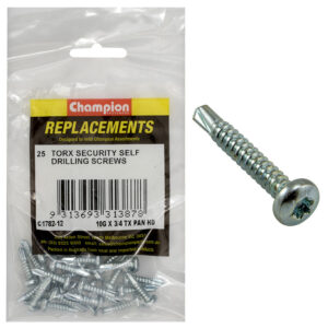 SELF DRILLING SCREWS-PAN-TORX (TX)-4.8 x 19mm-Z/P
