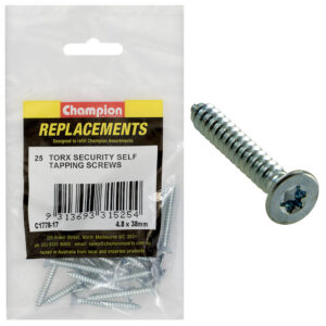 SELF TAPP-SCREWS-CSK-TORX (TX)-4.8 x 38mm-Z/P