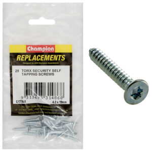SELF TAPP-SCREWS-CSK-TORX (TX)-4.2 x 19mm-Z/P