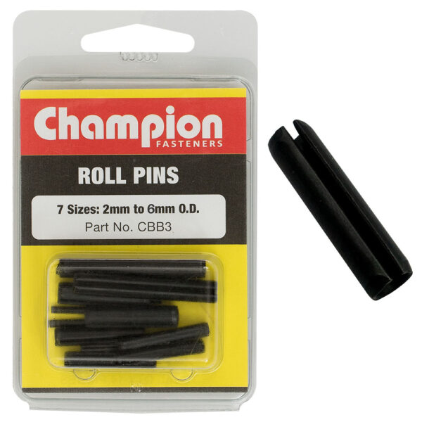 Roll Pins Blister Assortment