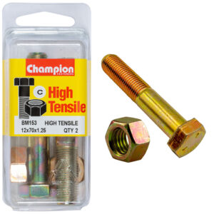 HEX BOLT HIGH TENSILE M12 x 70 x 1.25mm GRADE 8.8