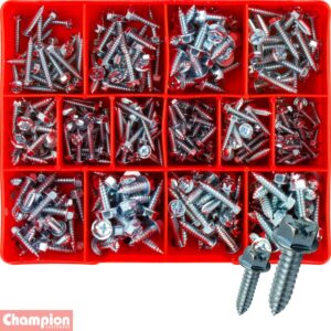 Hex Self-Tapping Screws Assortment