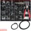 Champion Master Kit R Clips R Clips Assortment - Champion Fasteners